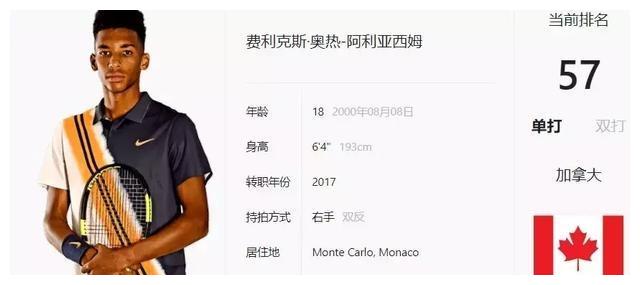 冬窗引进新